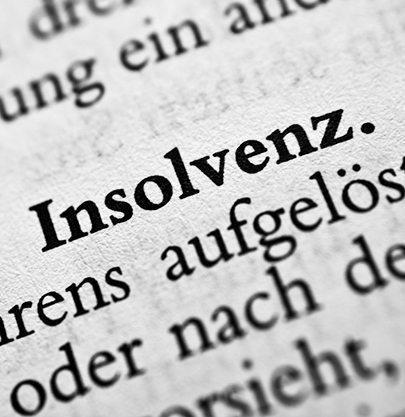 Buchseite, auf der das Wort Insolvenz hervorgehoben ist